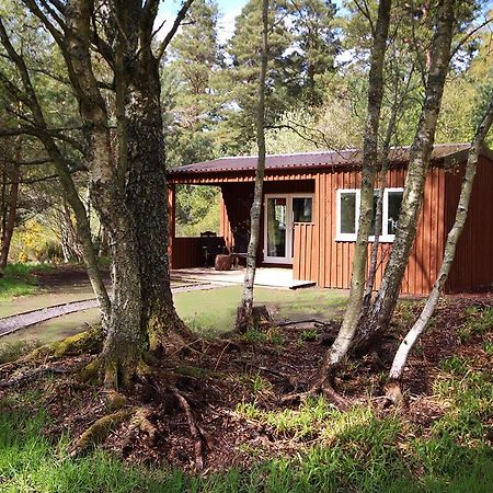 The Cabin At Easter Arr Auldearn Zewnętrze zdjęcie